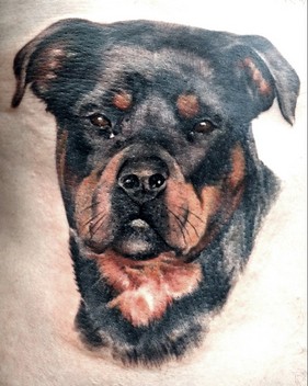 tattoo porträt portrait hund doge.jpg