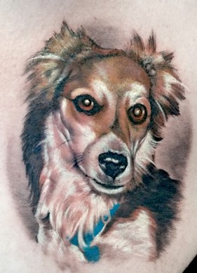 tattoo porträt portrait hund farbig.jpg